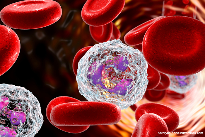 neutrophil graphic